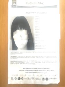 A copy of the missing person’s flyer (we blurred her face to protect her privacy). 
