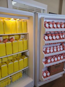 Refrigerated cartons of liquid eggs and containers of yogurt.