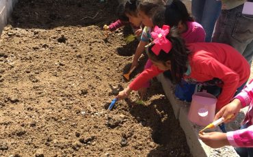 kids planting seeds in garden